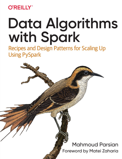 Data Algorithms with Spark PDF 下載 圖1